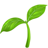 emoji_u1f331.png