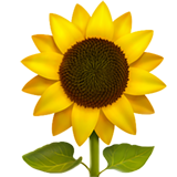 emoji_u1f33b.png