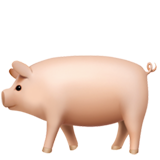 emoji_u1f416.png