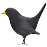 emoji_u1f426_200d_2b1b.png