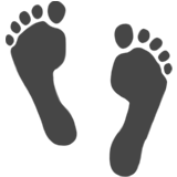 emoji_u1f463.png