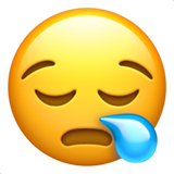 emoji_u1f62a.png