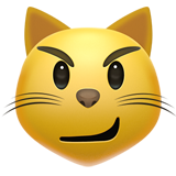 emoji_u1f63c.png