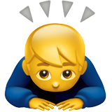 emoji_u1f647_200d_2642.png