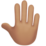 emoji_u1f91a_1f3fd.png