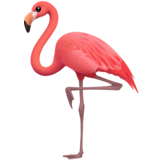 emoji_u1f9a9.png