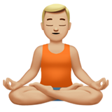 emoji_u1f9d8_1f3fc_200d_2642.png
